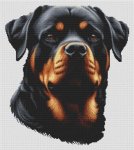 Rottweiler 2 (image for) Rottweiler 2